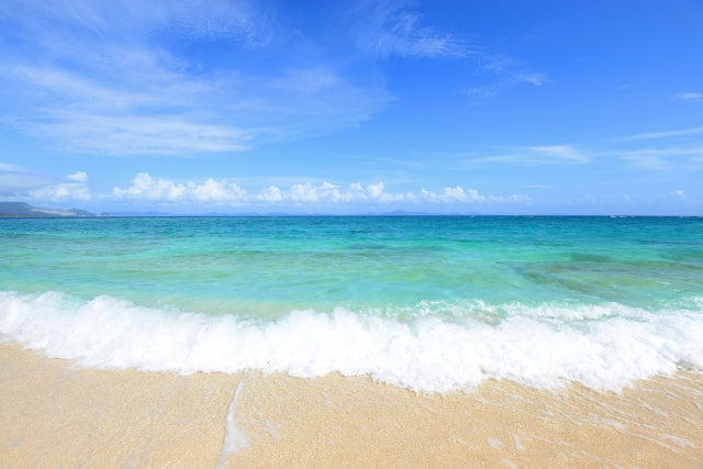 ハードウェアウォレットに関するセキュリティ